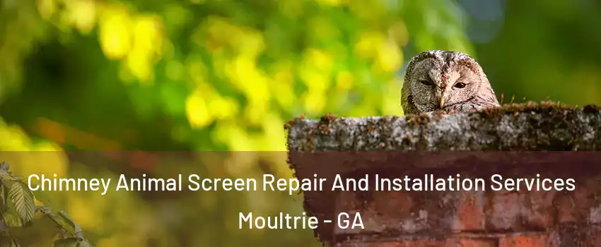 Chimney Animal Screen Repair And Installation Services Moultrie - GA