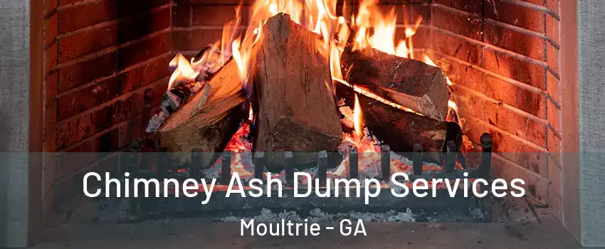  Chimney Ash Dump Services Moultrie - GA