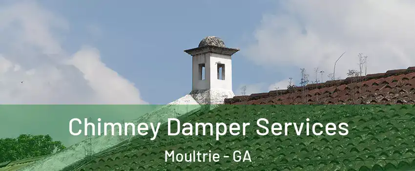  Chimney Damper Services Moultrie - GA
