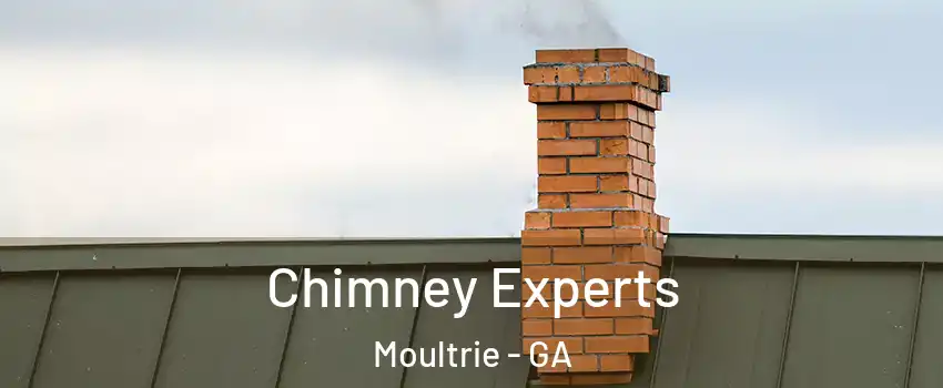 Chimney Experts Moultrie - GA