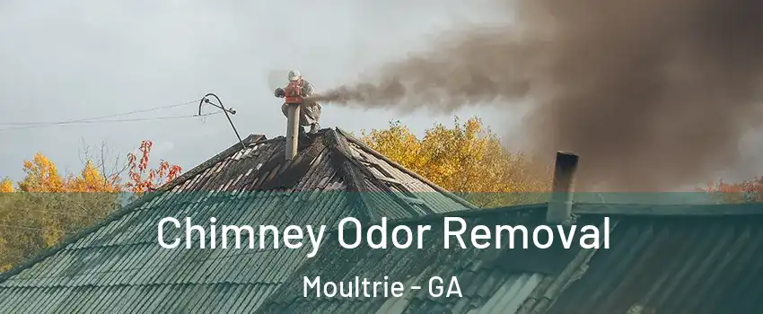  Chimney Odor Removal Moultrie - GA