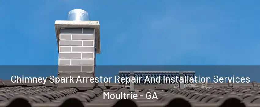  Chimney Spark Arrestor Repair And Installation Services Moultrie - GA