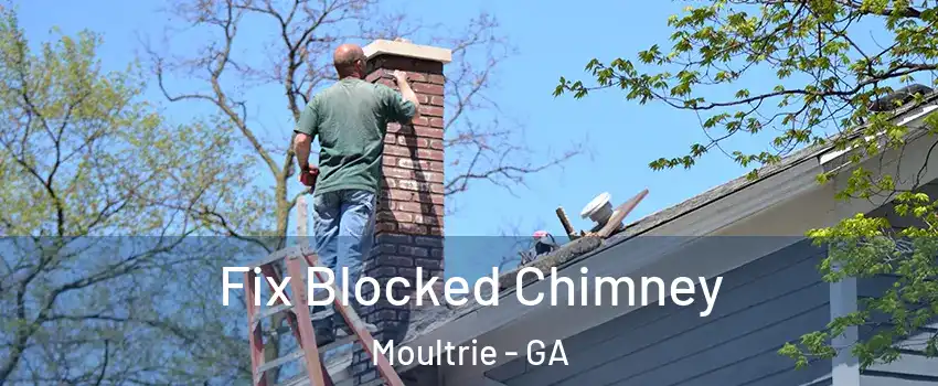  Fix Blocked Chimney Moultrie - GA