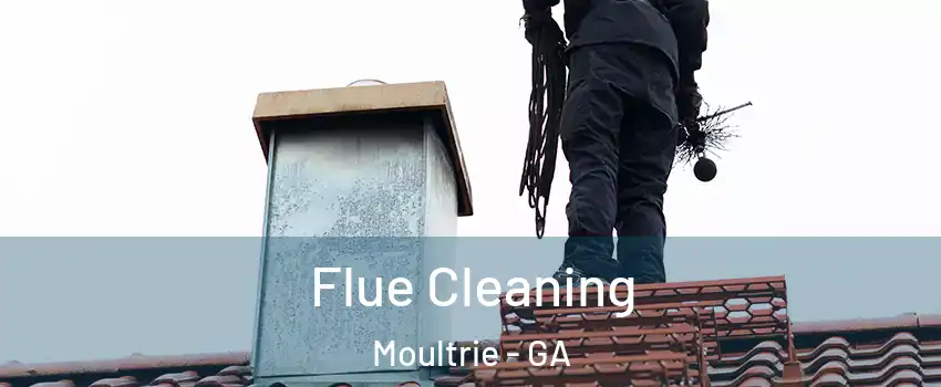  Flue Cleaning Moultrie - GA