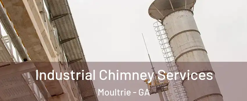  Industrial Chimney Services Moultrie - GA