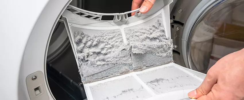 Best Dryer Lint Removal Company in Moultrie, Georgia