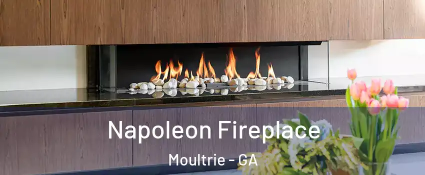  Napoleon Fireplace Moultrie - GA